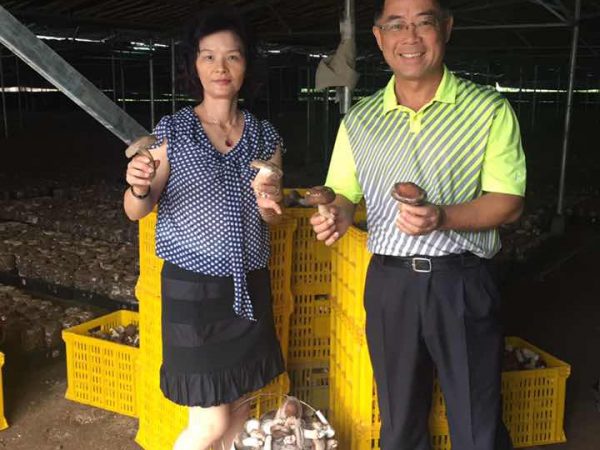 20170729 Mr. and Mrs. Hsieh visited the agricultural biotechnology (shiitake) business